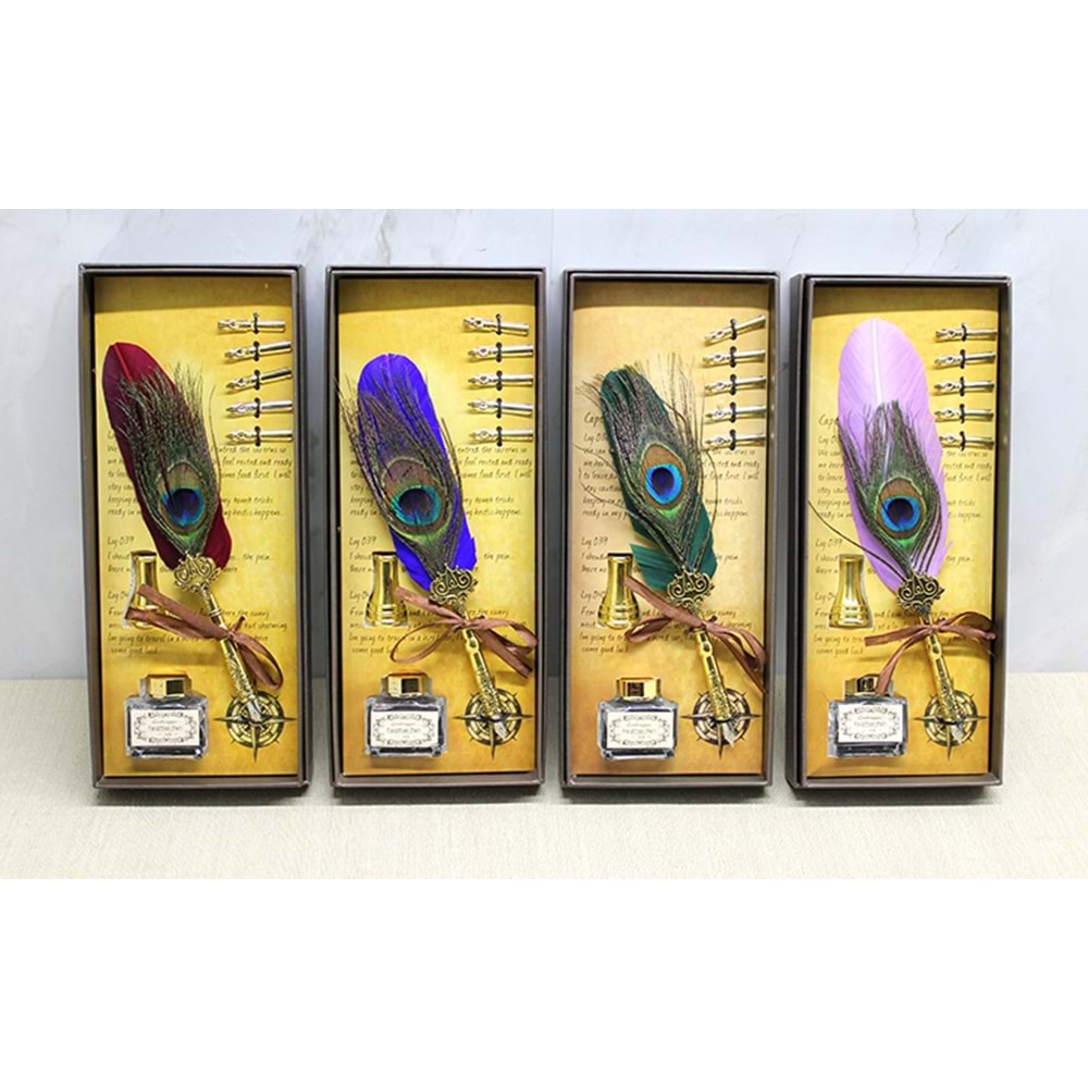 Divit Hokka Seti Alk4730