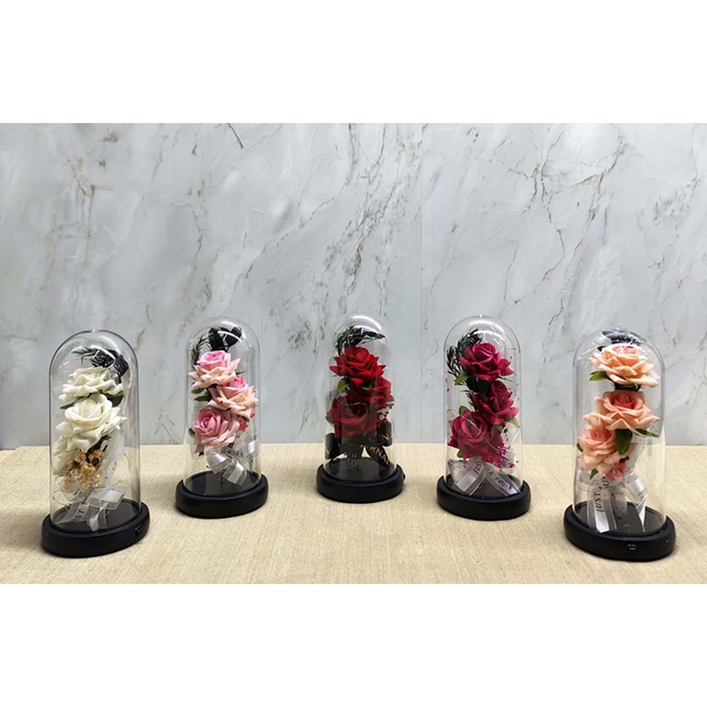 Işıklı Müzikli Cam Fanus İçinde Romantik Gül Alk5004