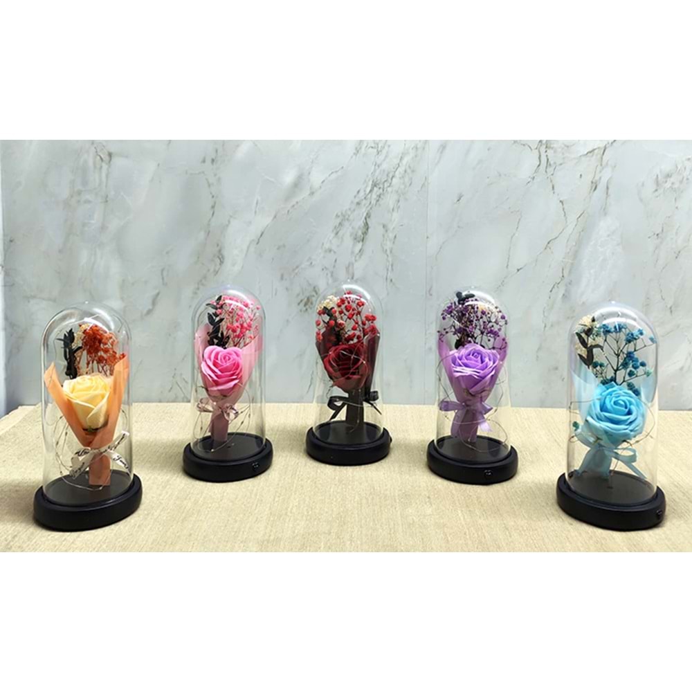Işıklı Müzkli Dekoratif Cam Fanus İçinde Gül Alk5005