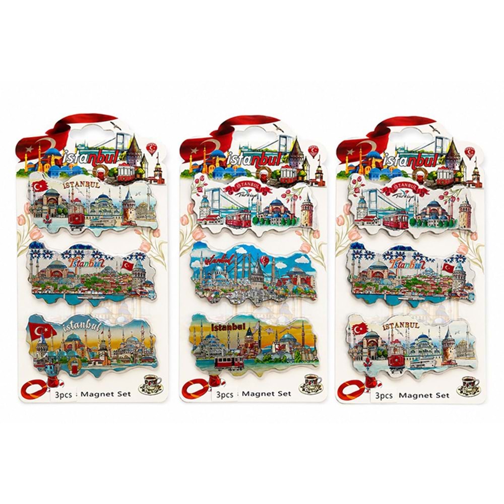 İstanbul Temalı Silikon Buzdolapı Süsü Magnet 3'Lü Set Alk5811