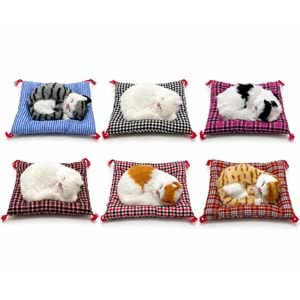 Yastıkta Uyuyan Kedi Sesli Alk24