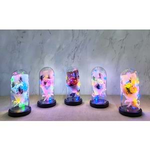 Işıklı Müzikli Fanus içinde Gül Buketi Alk5003