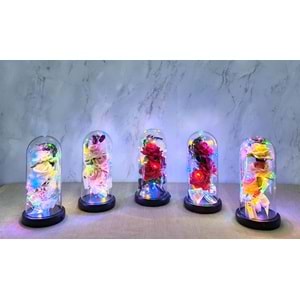 Işıklı Müzikli Cam Fanus İçinde Romantik Gül Alk5004