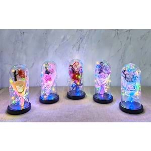 Işıklı Müzkli Dekoratif Cam Fanus İçinde Gül Alk5005