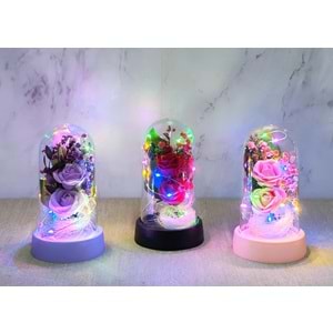 Işıklı Müzikli Romantik Fanus Tekli Gül Alk5007