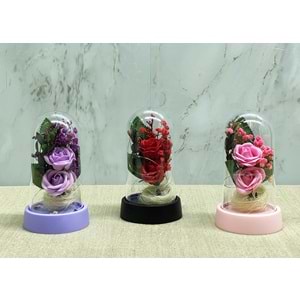 Işıklı Müzikli Romantik Fanus Tekli Gül Alk5007