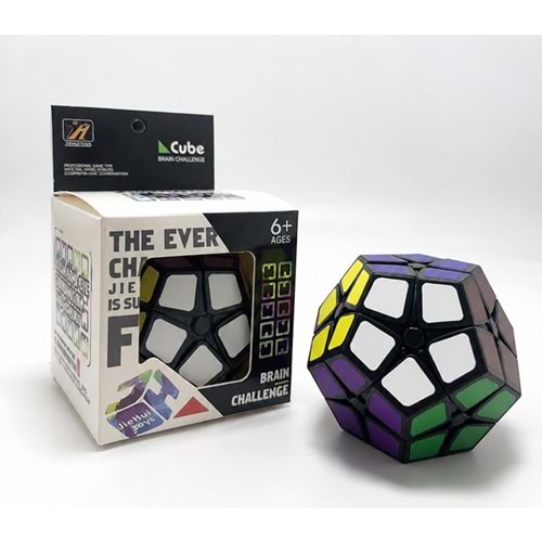 Kilominx Zeka Küpü - 2X2 Onikiyüzlü Megaminx Akıl Oyunu 570