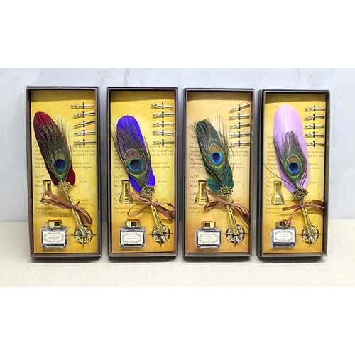 Divit Hokka Seti Alk4730