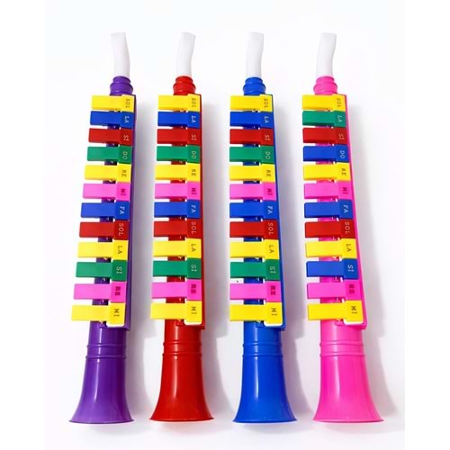 Renkli Plastik Melodika Alk4903