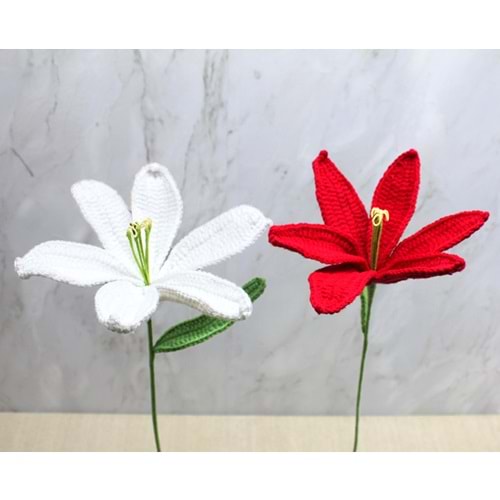 El Örgüsü Zambak Çiçeği Alk4970