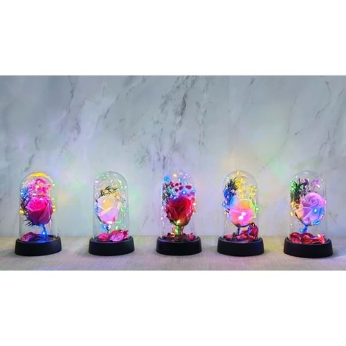 Işıklı Müzikli Romantik Büyük Gül Alk4998