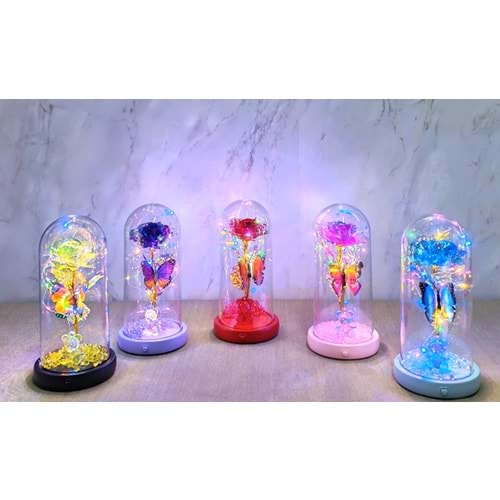 Işıklı Müzikli Romantik Kelebekli Fanus içinde Gül Alk5000