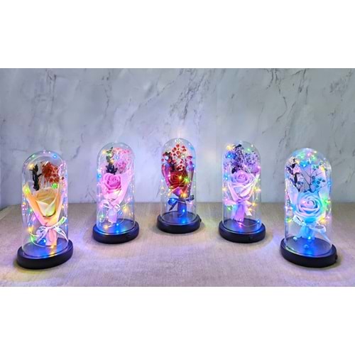 Işıklı Müzkli Dekoratif Cam Fanus İçinde Gül Alk5005