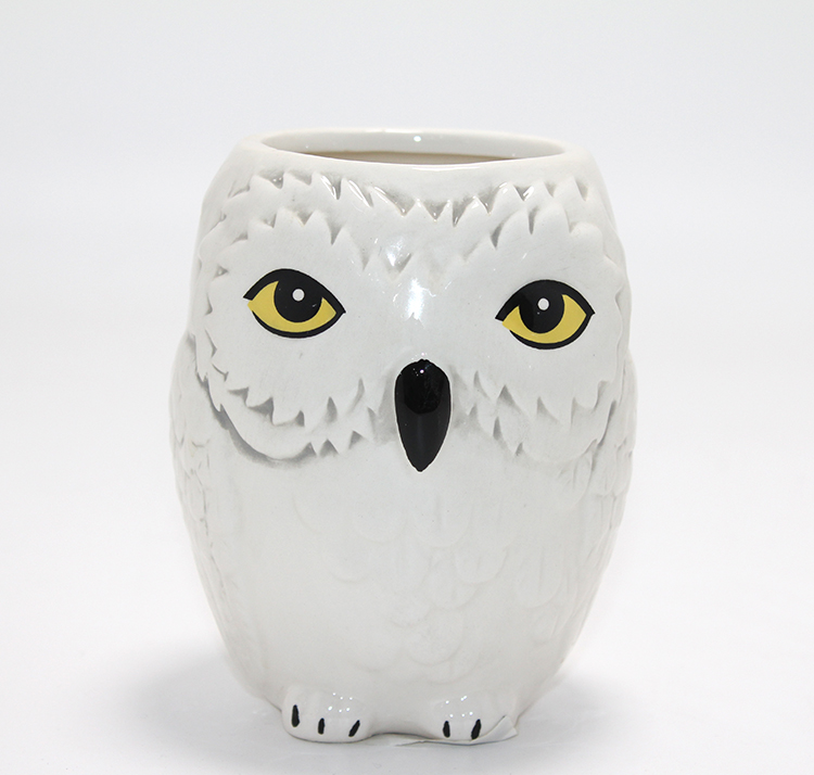 Harry Potter Hedwig Tasarım Porselen Kupa Bardak Alk4494