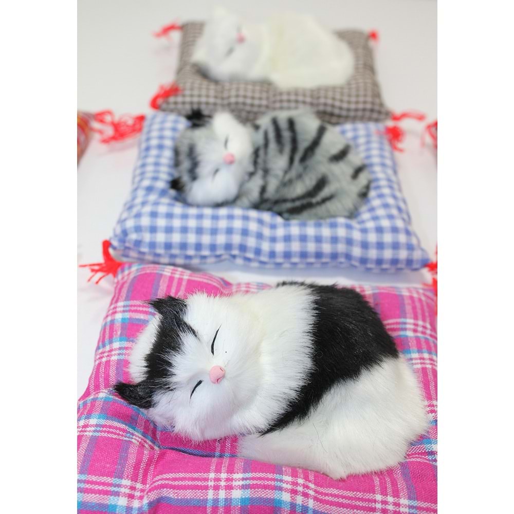 Yastıkta Uyuyan Kedi Sesli Alk24