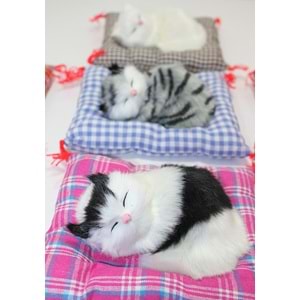 Yastıkta Uyuyan Kedi Sesli Alk24