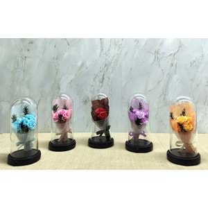 Işıklı Müzikli Fanus içinde Gül Buketi Alk5003