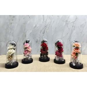 Işıklı Müzikli Cam Fanus İçinde Romantik Gül Alk5004